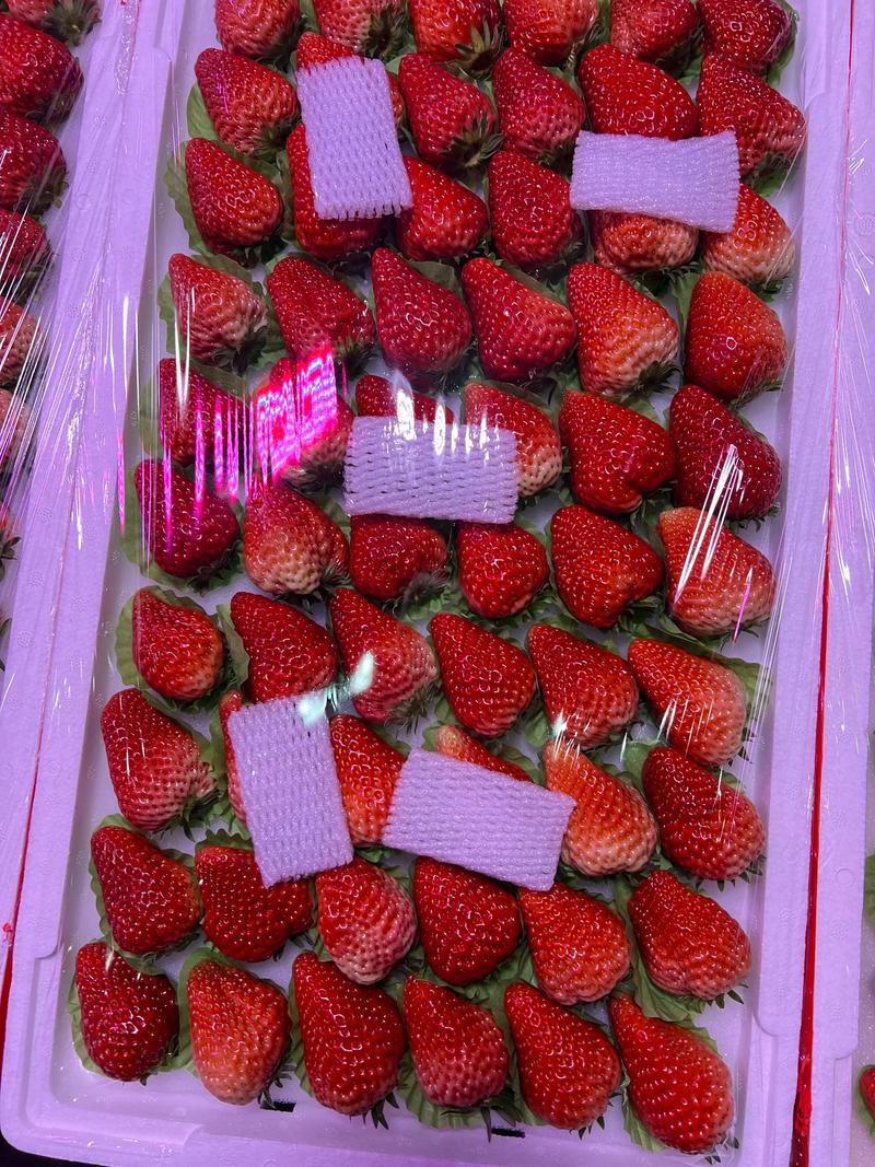 丹东商品批发:城市活力的缩影