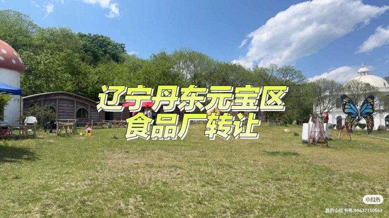 丹东商贸公司的商业活力与未来展望
